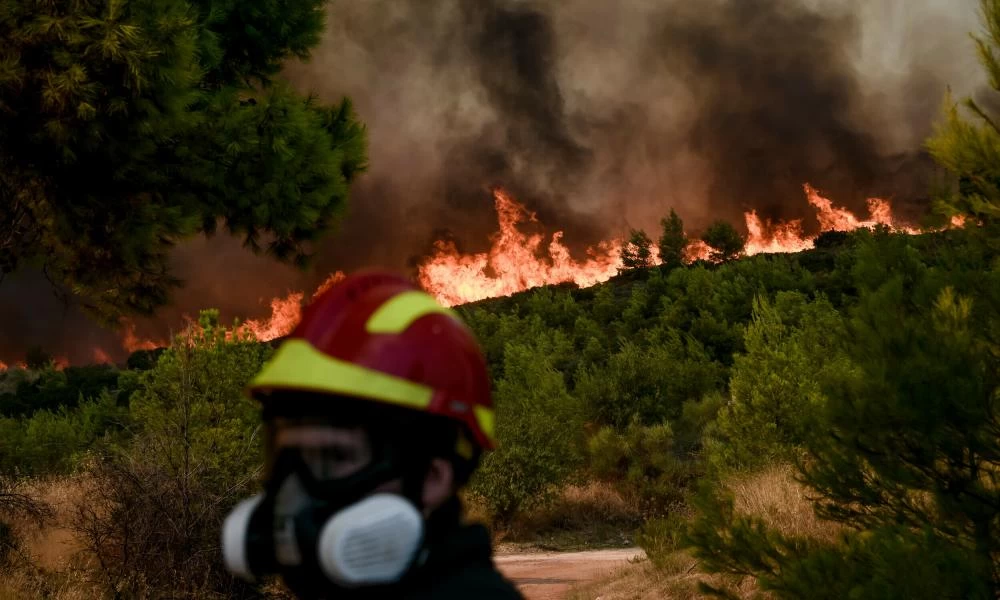 Επιστολή Συμπαράστασης της Ι. Συνόδου για τις πυρκαγιές στην Ηλεία